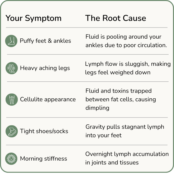 Natures Best Lymphatic Support Drops