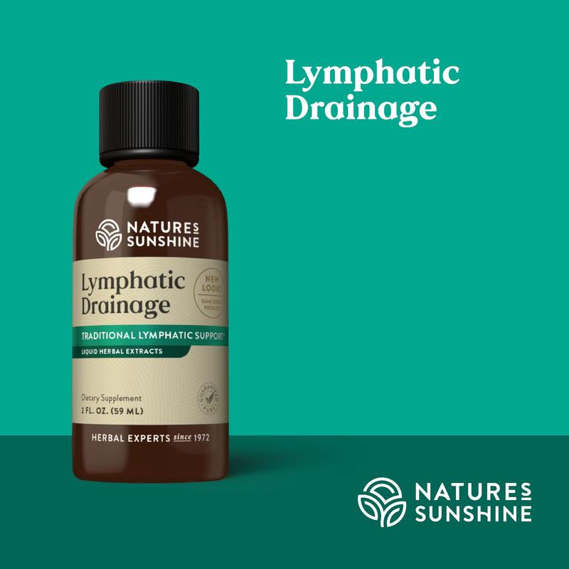 Lymphatic Support